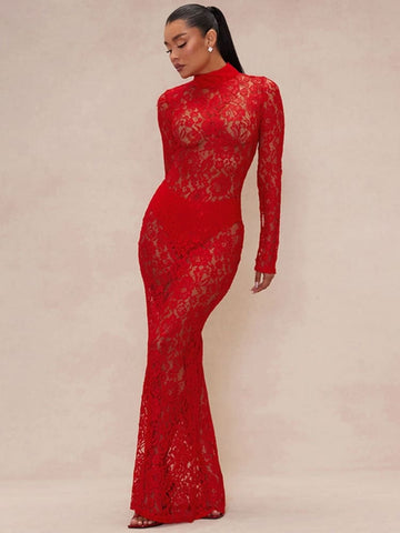 Sheer Lace Turtleneck Dress